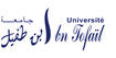 LUniversite-Ibn-Tofail-de-Kenitra_logo